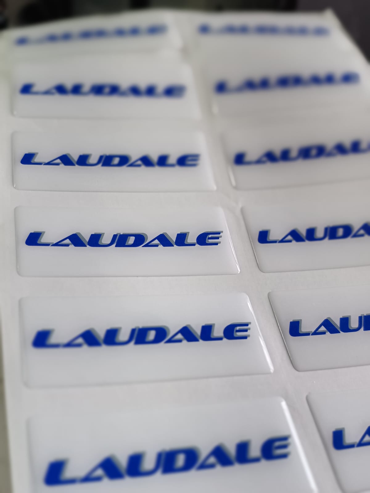 Plancha de etiquetas resinadas Laudale, ejemplo de producción por volumen